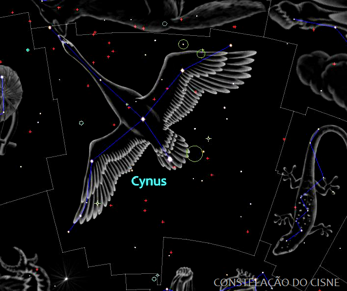 [Cygnus%2520-%2520ilustra%25C3%25A7%25C3%25A3o%255B20%255D.png]