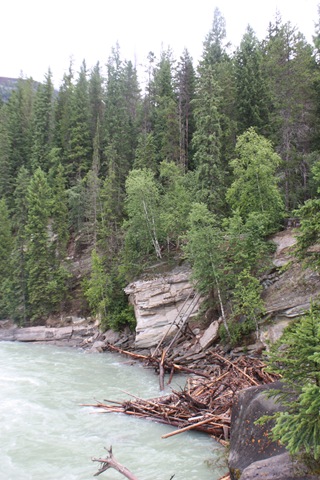 [IMG_9139%255B2%255D.jpg]