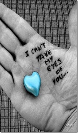 I Love You I Love You