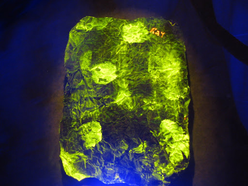 The fingerprints can only be seen after the item has been treated with a chemical and by using a special light and a glass filter. (Photo credit: Jeremy Shreckhise)
