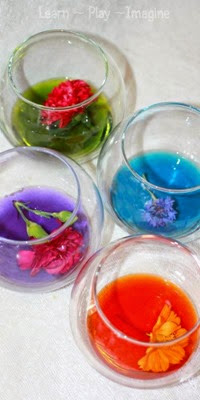 Homemade Watercolors from Fresh Flowers Homemade Watercolors from Fresh Flowers