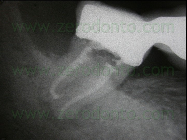 [FIG-N-172.jpg]