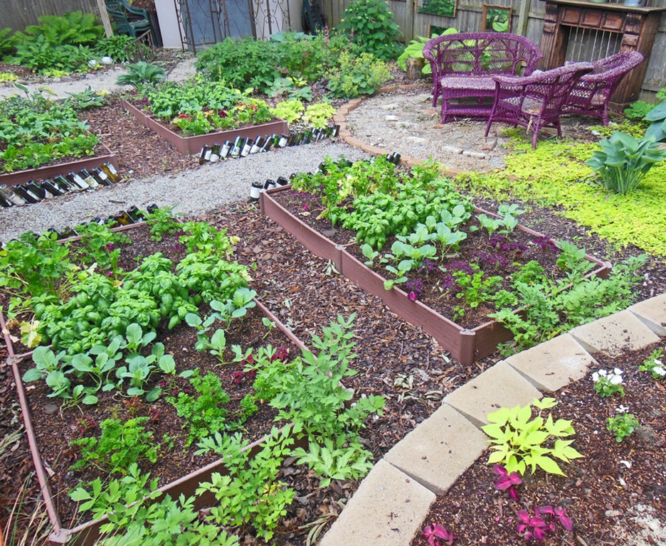 [Back%2520Veggie%2520Garden%2520Planting%255B5%255D.jpg]