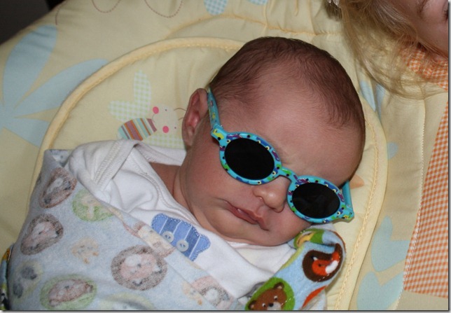 shades shades