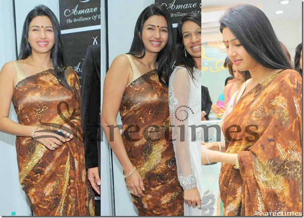 Deepthi_Bhstnsgsr_Brown_Saree
