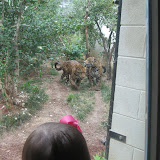 IMG_1795.jpg
