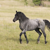 NH-ST-D3-M2-21.jpg