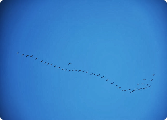 DSC_0720 DSC_0720