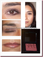 110607 - NARS Orgasm (1) 110607 - NARS Orgasm (1)