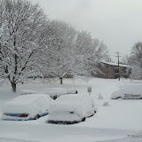 Blizzard TwentyTen - DSC08576.JPG