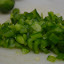 DSC_1517.JPG
