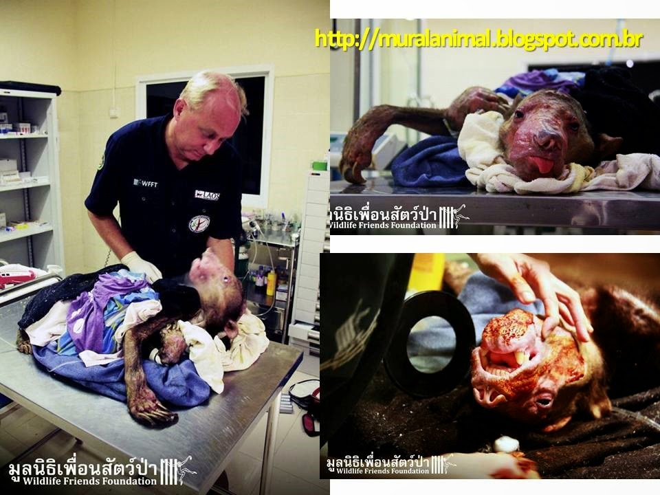 [Slide4%255B3%255D.jpg]