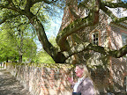 Laura Viancour, our guide and walking encyclopedia for all things historic and horticultural at Colonial Williamsburg, standing under one of the many magnificent trees on the grounds, this being a live oak