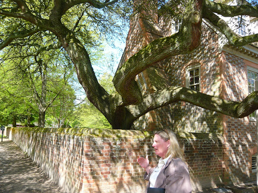 Laura Viancour, our guide and walking encyclopedia for all things historic and horticultural at Colonial Williamsburg, standing under one of the many magnificent trees on the grounds, this being a live oak