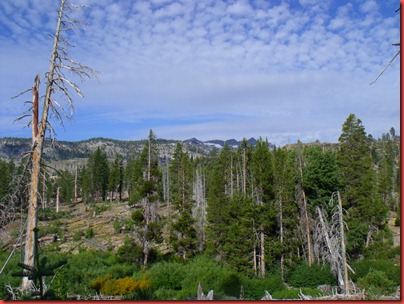 mammoth 045