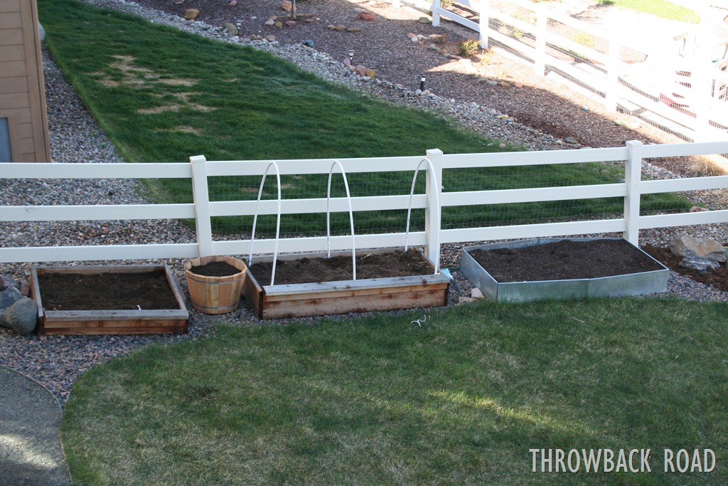 [Raised%2520Garden%2520Spring%25202012%2520002%255B3%255D.jpg]