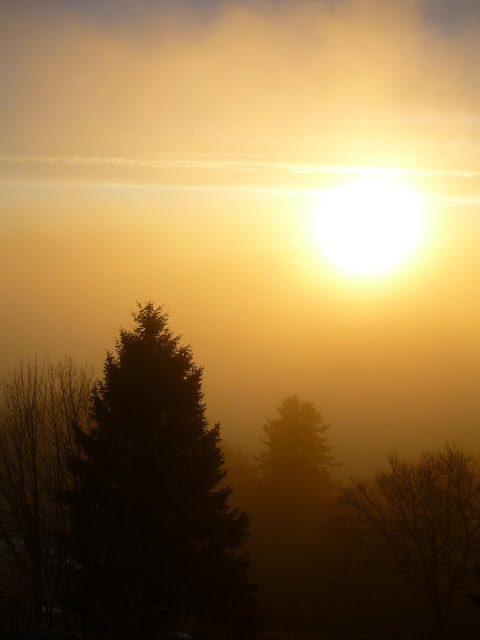 Quatrième jour :  De la fenêtre de ma chambre à mon réveil à l'hôtel Schallern<br />
Day Four: From the window of my bedroom when I woke up at the hotel Schallern