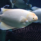 IMG_4730.JPG