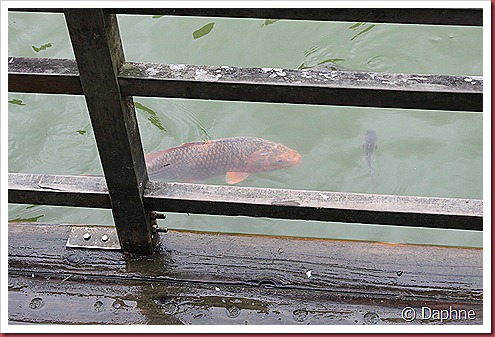 IMG_0308 IMG_0308