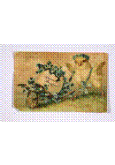 clip_image024 clip_image024