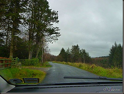 P1120451 P1120451