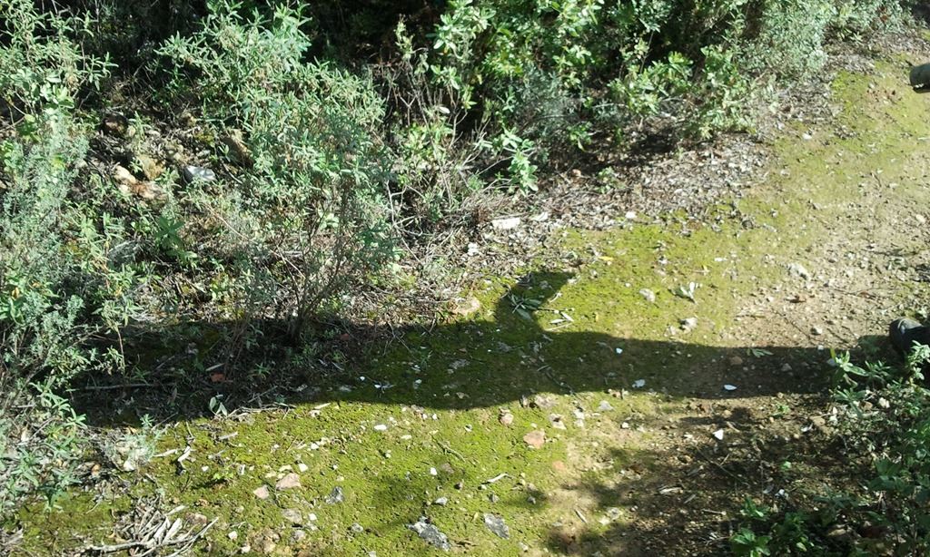 [2011-11-20-11.09.436.jpg]