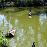 Golden Gate Park