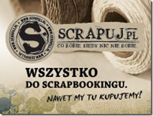 scrapuj_banner_reg_220