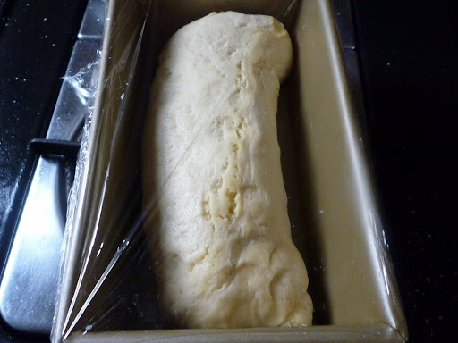 One loaf rising in the pan.