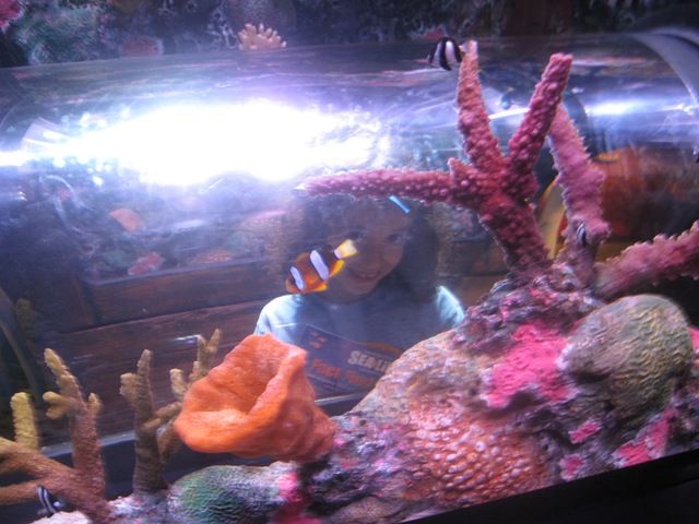 [IMG_8440%255B2%255D.jpg]