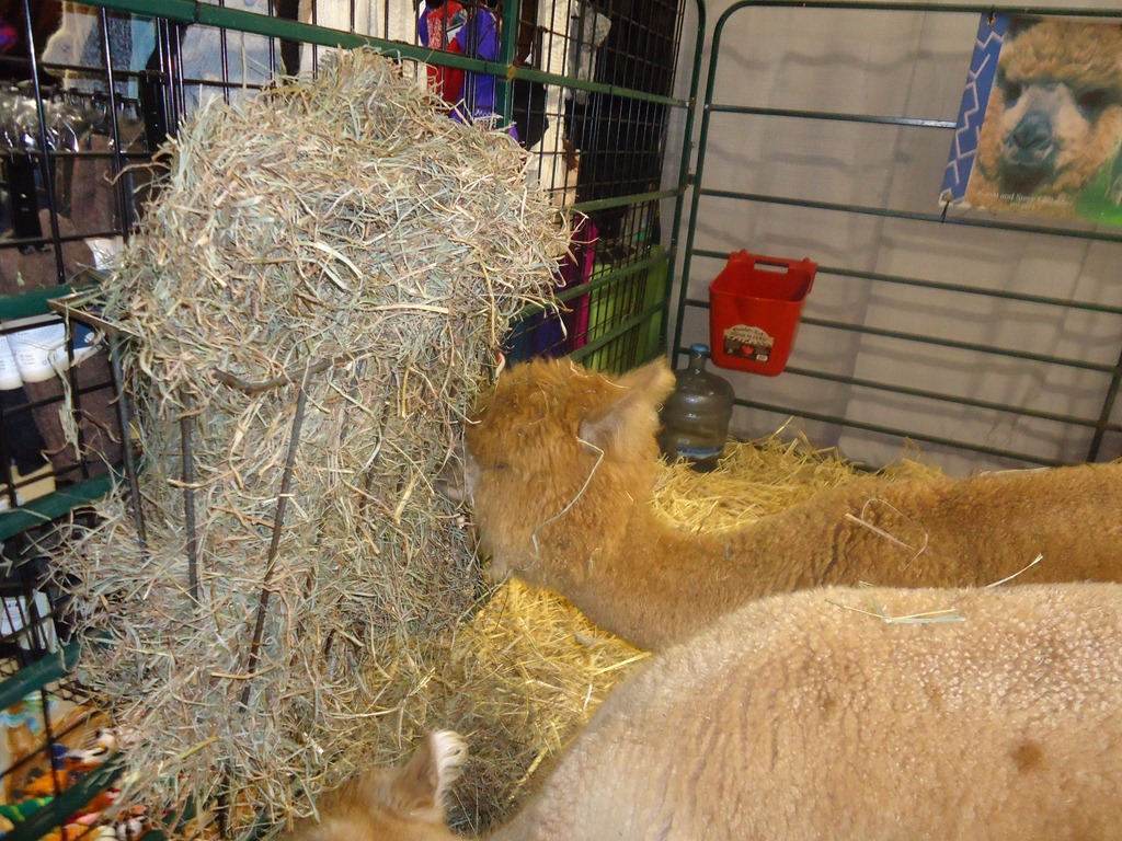 [DSC01199%255B7%255D.jpg]