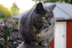 IMGP0273.JPG