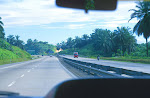 13000036a.jpg