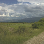 Haiti Country Side