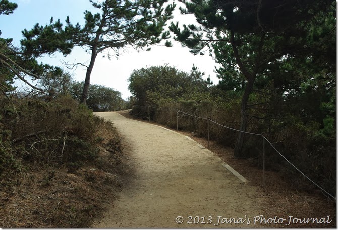 Bird Island Trail, Point Lobos, California