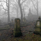 Old Cemetery of Podgorze in the fog.jpg Old Cemetery of Podgorze in the fog.jpg
