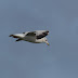 P1050774