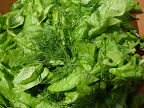 Spinach, basil, and fresh dill.