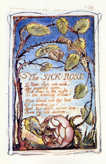The Sick Rose By William Blake, William Blake