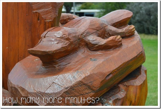 How Many More Minutes? ~ Dartmoor, Victoria