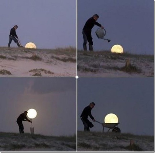viral-picdump-pics-d9852a