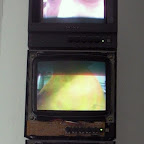 CIMG2143.JPG