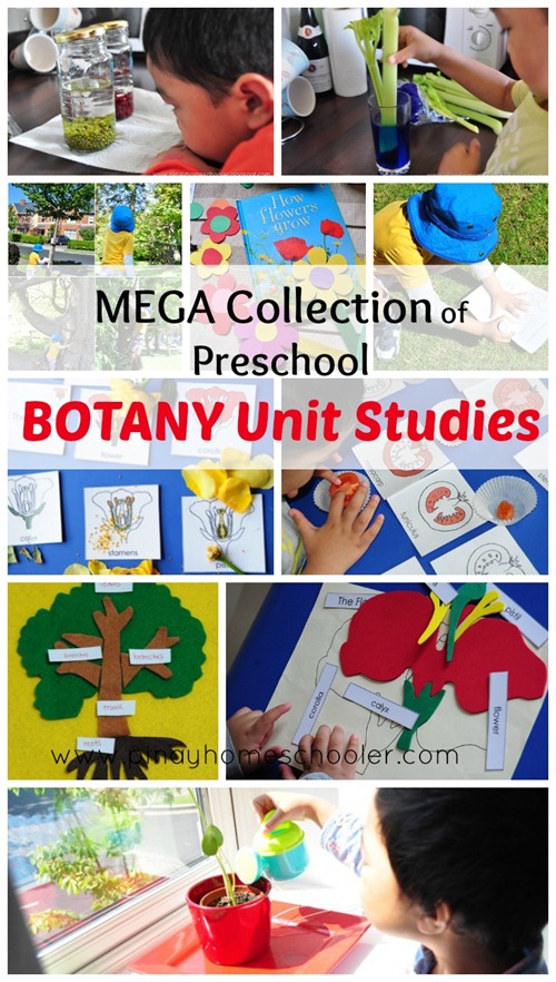 MEGA Collection of BOTANY Unit Studies