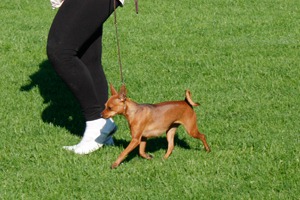 [nilla_movement_3%255B14%255D.jpg]