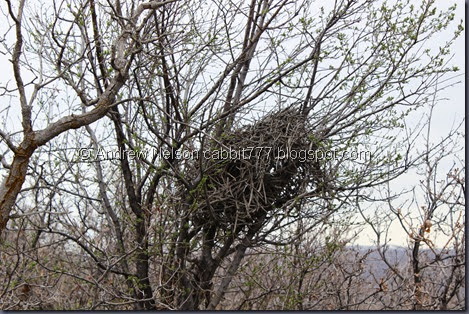 IMG_2372 IMG_2372