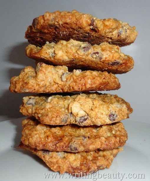 Best oatmeal chocolate chip cookies