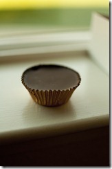 suncups009