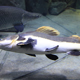 IMG_4736.JPG