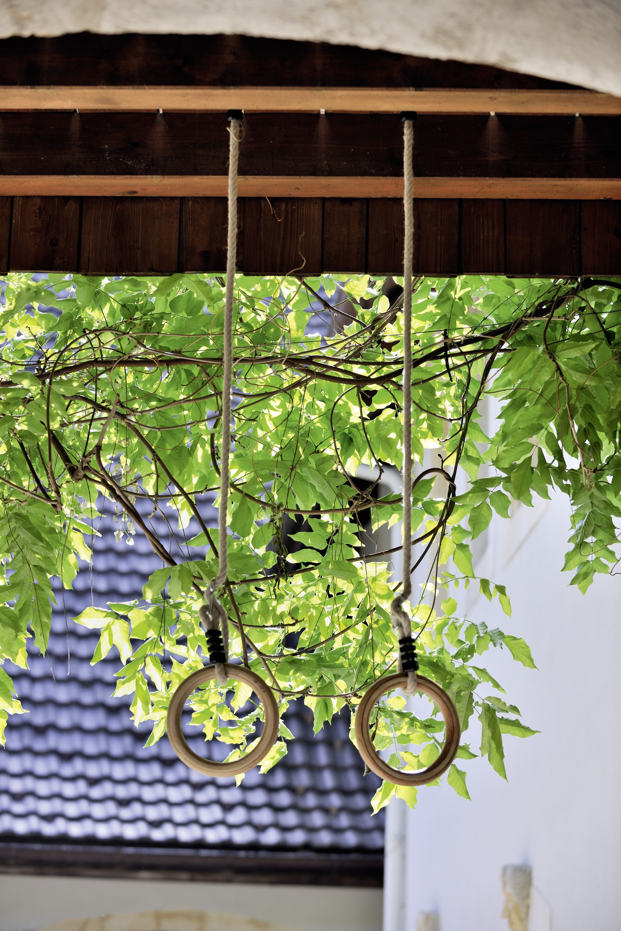 télécharger des clin d oeil