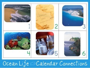 OCean Life Calendar Connections OCean Life Calendar Connections